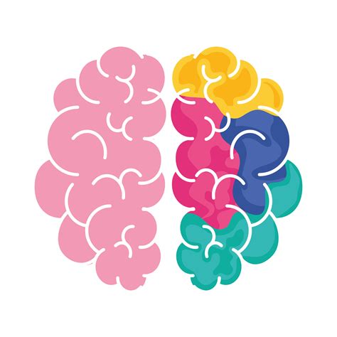 Pink And Colored Brain 4102453 Vector Art At Vecteezy