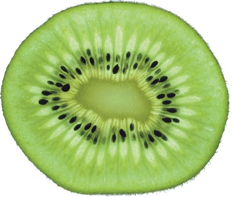 Download Green Cutted Kiwi Png Image Hq Png Image Freepngimg