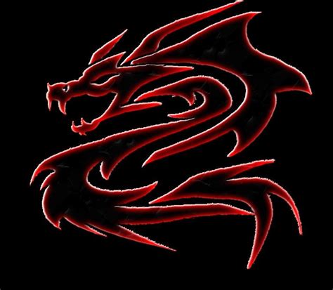 Dragon Logo Wallpapers Wallpaper Cave