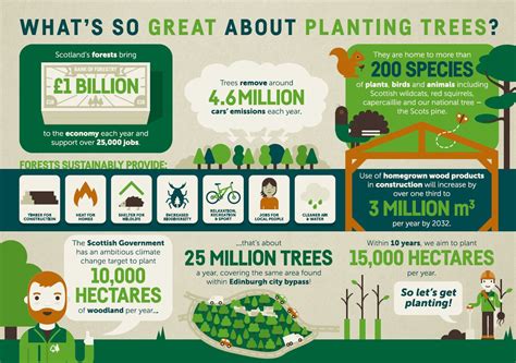 Infographic What S So Great About Planting Trees