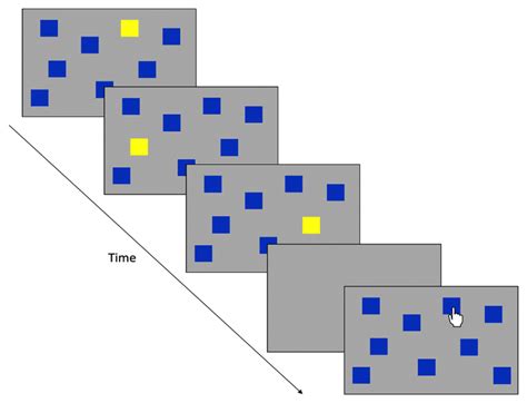 Schematic Illustration Of The Corsi Spatial Working Memory Task