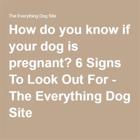 How Do You Know If Your Dog Is Pregnant 6 Signs To Look Out For The