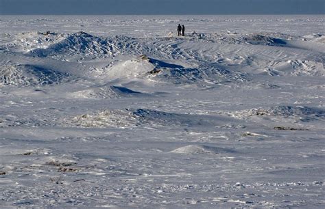 Frozen Lake Huron Photograph By Robin Mcleod