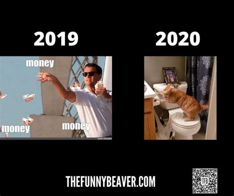 Funny Quarantine Cat Memes Quarantinecats The Funny Beaver