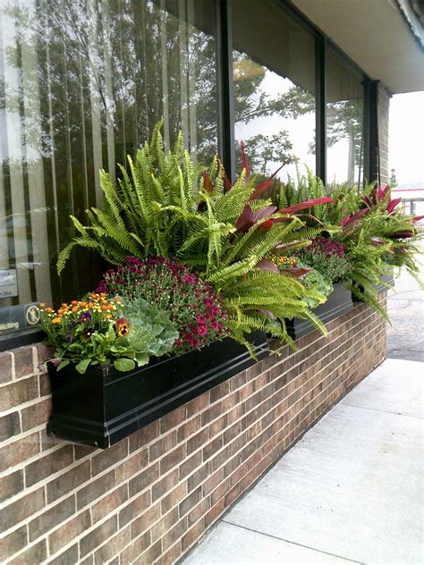 Our Newly Installed Fall Planters Outside Our Office In