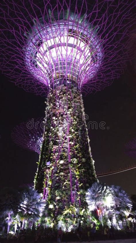 Singapore Gardens By The Bay At Night Stock Photo Image Of Gardens