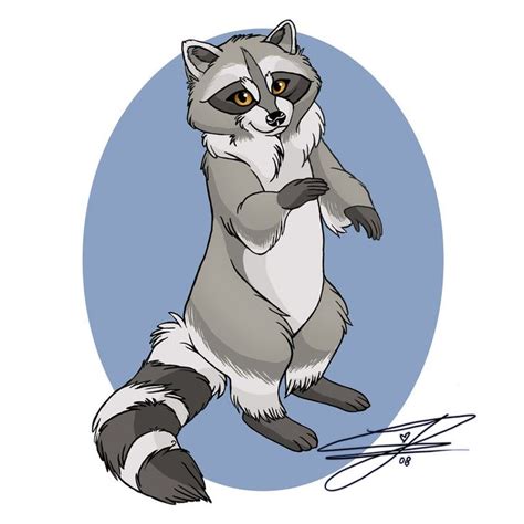 On Deviantart Raccoon Raccoon