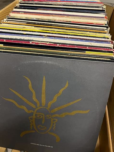 Schallplatten Sammlung Maxi 133 Vinyl Kaufen Auf Ricardo