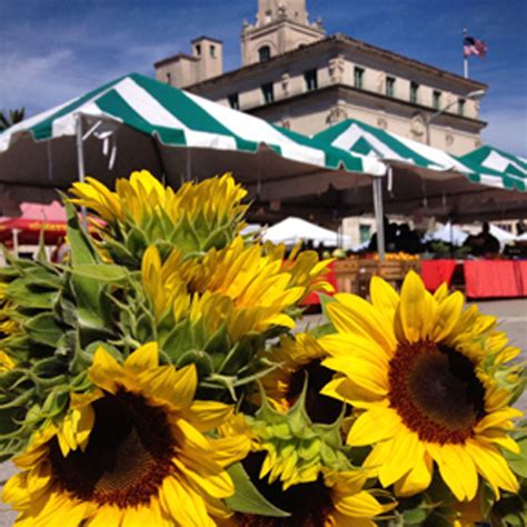 Cgtv is leaping off your tv and on to the web. CORAL GABLES: Coral Gables Farmers Market | Edible South ...