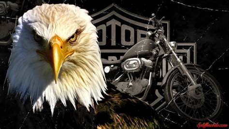 Pintura De Diamantes Harley Davidson Harley Davidson Bike Fondo De