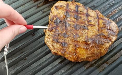 Heat a cast iron skillet until. Petite Sirloin Steak Recipe - Juggling Act Mama