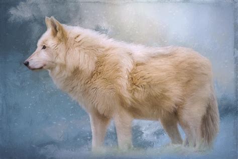 The Spirit Within Arctic Wolf Art Painting By Jordan Blackstone