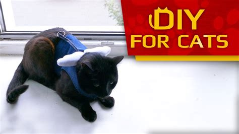 Diy 🐈 How To Make Cat Harness Easy And Fast Reupload Youtube