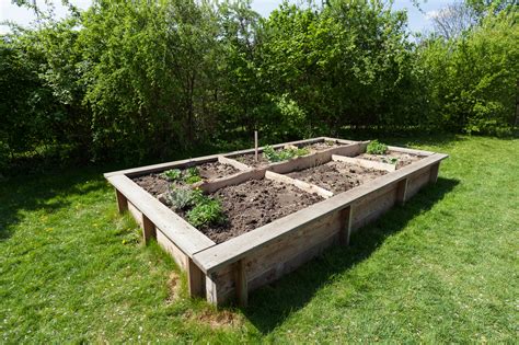 How to Build a Raised Garden Bed: Planning, Building, and Planting