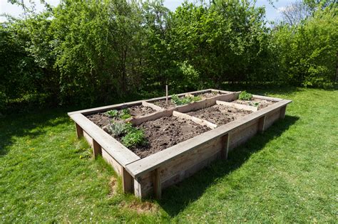 How To Build Raised Garden Beds Tips For Raised Bed Gardening The