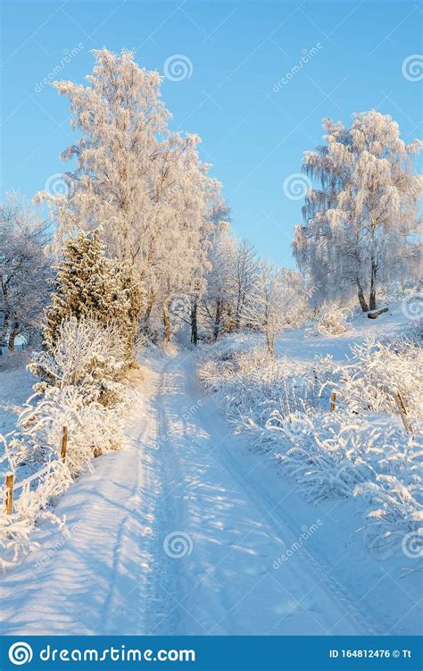 Dirt Road In A Snowy Winter Landscape With Hoarfrost On The Trees Stock