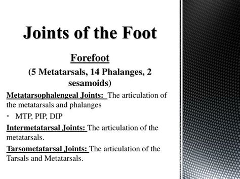 Ppt Anatomy Of The Foot And Ankle Powerpoint Presentation Id2361555