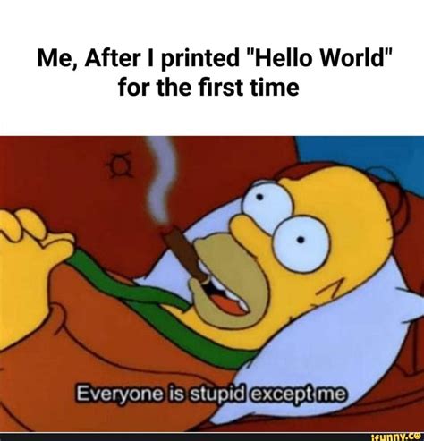 Me After I Printed Hello World For The ﬁrst Time Ifunny Memes