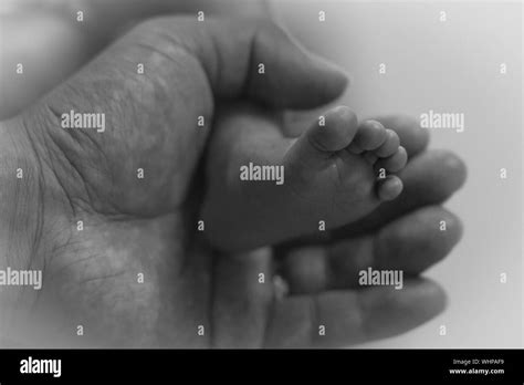 Baby Feet Black And White Stock Photos And Images Alamy