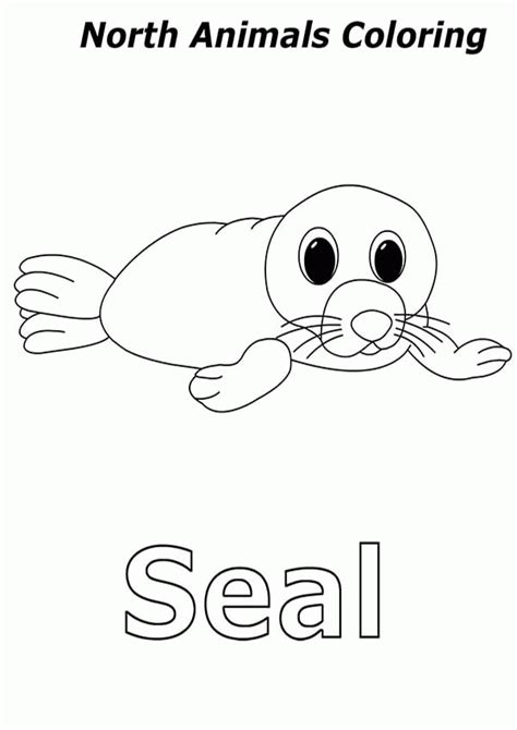 Seal coloring illustrations & vectors. Baby Seal Coloring Pages - Coloring Home