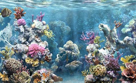 Unduh 5800 Background Pemandangan Bawah Laut HD Terbaik - Download