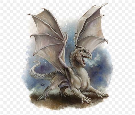 Dungeons And Dragons White Dragon Lludd And Llefelys Wyvern Png