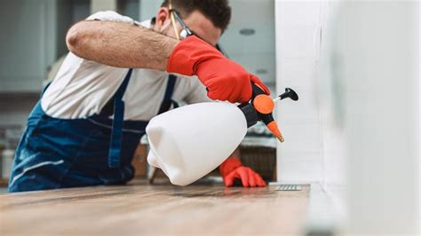 How To Find The Best Pest Control Near Me Forbes Home