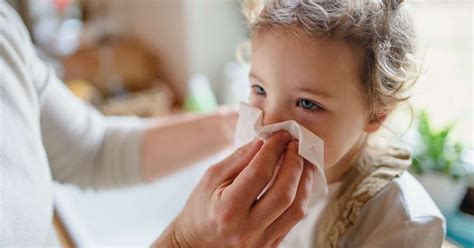 Gripe Resfriado Ou Alergia Saiba Como Diferenciar