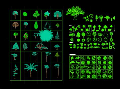 Sale price $3.99 regular price $5.99 sale. Trees, Shrubs and House Plants 2D DWG Block for AutoCAD ...