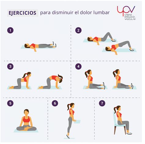 Ejercicios Para Mejorar El Dolor Lumbar Unidad De Patología Vascular