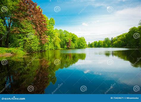 Summer Background Summer Landscape With Lake Flowers Trees A Stock