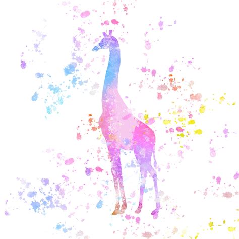 Giraffe Paint Splatter Colorful Free Stock Photo Public Domain Pictures