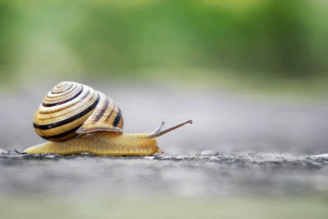 Gender Isn't Binary In The Animal World, Either - Role Reboot