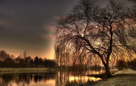 Wallpaper River Hdr Tree Images For Desktop Section природа Download