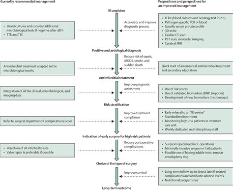 Management Of Infective Endocarditis Challenges And Perspectives The
