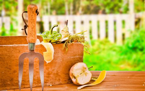 We did not find results for: What Can You Put In A Compost Bin? - Tampa Tree