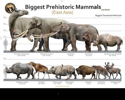 Top 10 Largest Prehistoric Mammals
