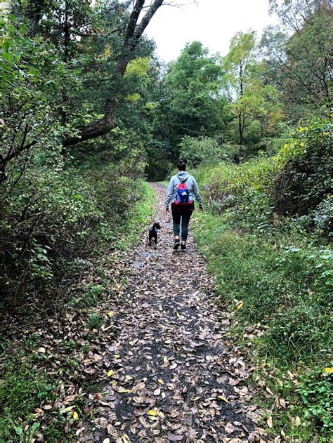 Your 2019 Complete Guide To The Delaware Water Gap Hiking Trails