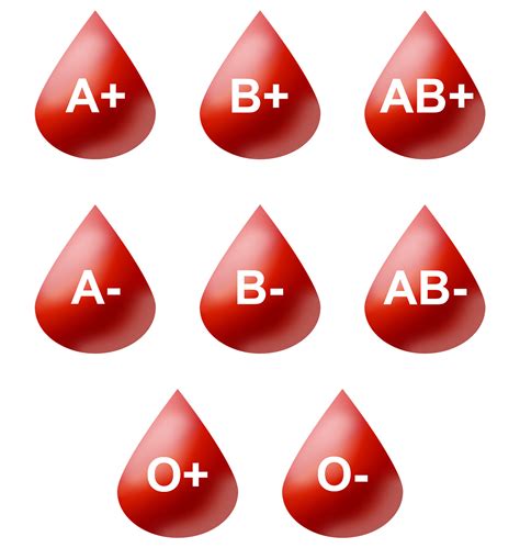 Entender Los Diferentes Tipos De Sangre Curioso World News