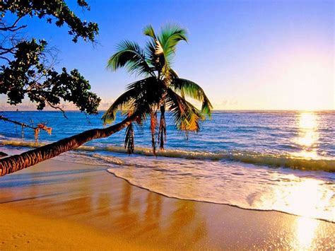 Free Download Beautiful Paradise Beach 865434 Wallpapers13com 1024x768