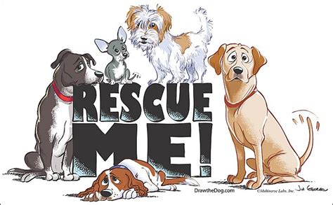 The Teacher's Pets: 7 Signs Of A Reputable Dog Rescue Organization