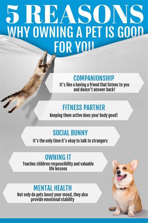Benefits Of Keeping Pets Bradley Has Zhang