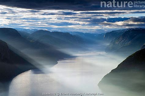 Nature Picture Library Lysefjorden Viewed From The Preikestolen Pulpit