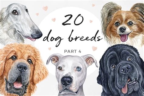 Part 4 Watercolor Illustration Set Dog Breeds Cute 20 Dogs