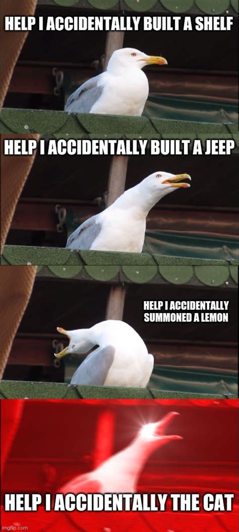 Inhaling Seagull Meme - Imgflip