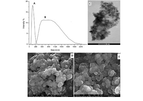 A Particle Agglomeration Size Distribution Of The Naked Fe 3 O 4 B