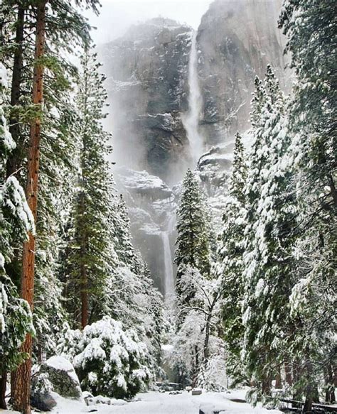 Wonderful Nature On Instagram “yosemite National Park Photo By