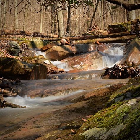 Check spelling or type a new query. Maple Tree Cabin - Mountain Creek Cabins