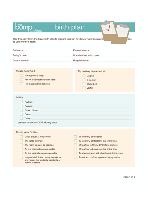 Birth Plan Template 6 Free Templates In Pdf Word Excel Download