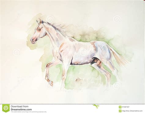Download Perlino Akhal-teke Horse Watercolor Painting Stock ...